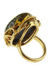 Ring PS860-003