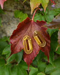 Silver earrings with amber and gold plating "Flavia"
