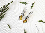 Earrings made of blackened silver with amber “Snakes”