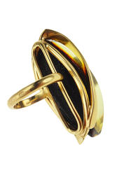 Ring PS874-002