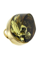 Ring PS876-002