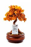 Amber tree Д-11-Я