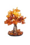 Amber tree SUV000176