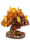 Amber tree SUV000856-057