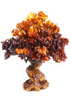 Amber tree SUV000856-033