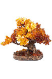 Amber tree SUV000792-001