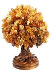 Amber tree SUV000856-137
