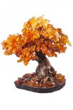Amber tree SUV000319