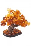 Amber tree SUV000320