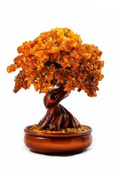 Amber tree Д-12-Я    