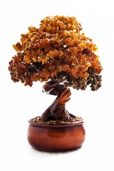 Amber tree Д-20-Я