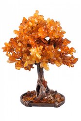Amber tree SUV000154