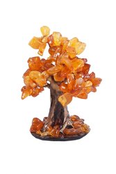Amber tree SUV000176
