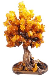 Amber tree SUV000074