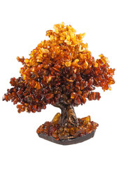 Amber tree SUV000856-058