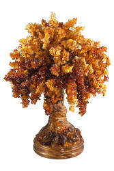 Amber tree SUV000550-005