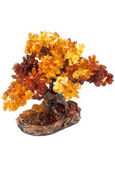 Amber tree SUV000792-001