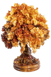 Amber tree SUV000856-137