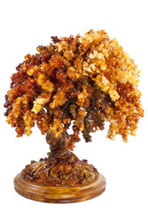 Amber tree SUV000856-142