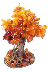 Amber tree SUV000322