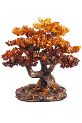 Amber tree SUV000388-002