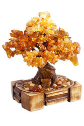 Amber tree SUV000856-080