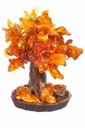 Amber tree SUV000285