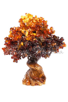 Amber tree SUV000856-033