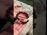 Video review of the product Amber bracelet with contrasting inserts | Янтар Полісся