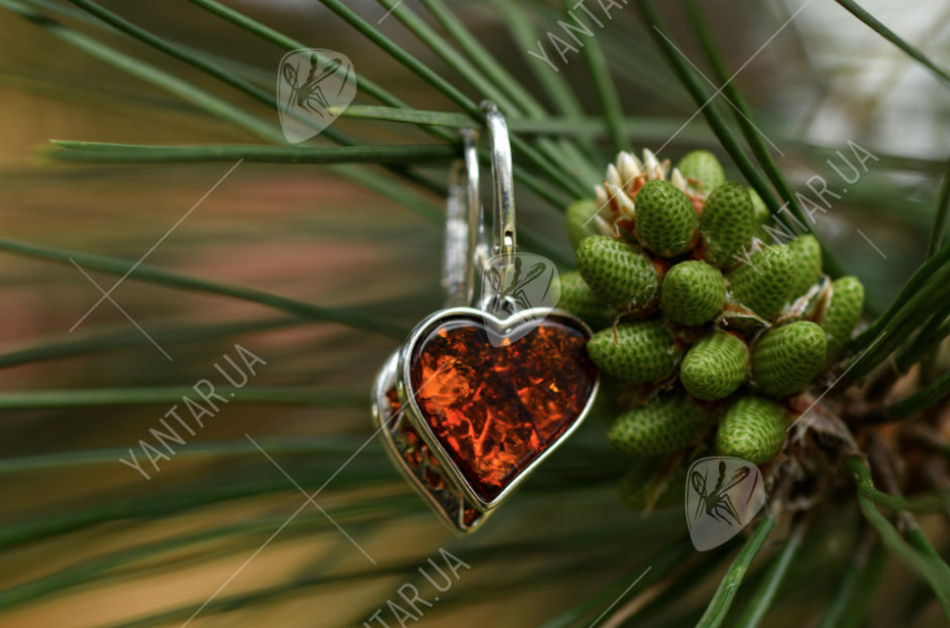 amber earrings