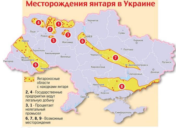 Карта залежи янтаря в Украине