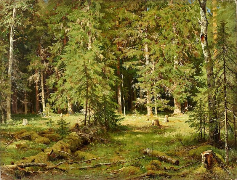Шишкин - картина «Лес»