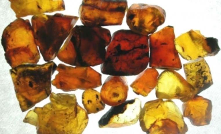 The healing properties of amber lamps