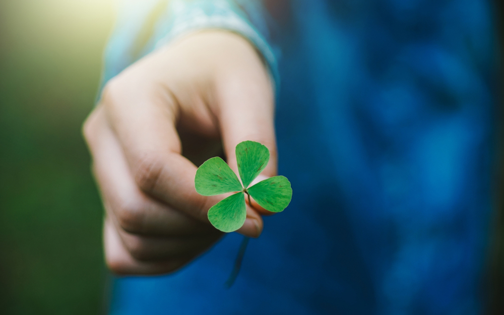 The Mystery of the Four-Leaf Clover as a Living Talisman