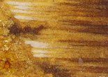 Panel &quot;Angel&quot;