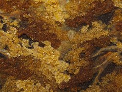 Пейзаж «Стежка до озера»