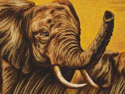 Панно «Слони»