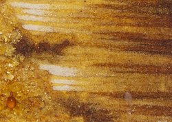 Panel &quot;Angel&quot;