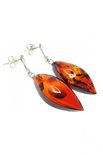 Earrings С-428