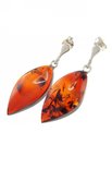 Earrings С-428