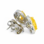 Heart-Shaped Yellow Earrings