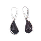 Earrings SS1756-001