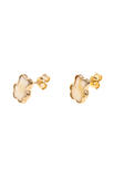 Earrings SS1256-001