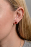 Earrings SS1438-001