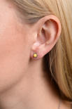 Earrings SS1449-001