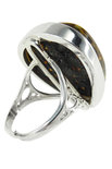 Ring PS789-002