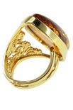 Ring PS769-002
