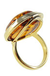 Ring PS792-002