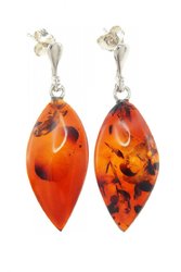Earrings С-428
