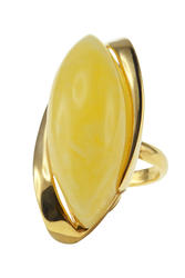 Ring PS859-003